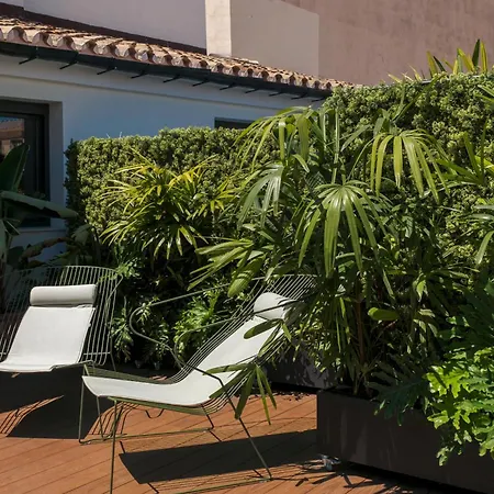 Coeo Fresca Design * Málaga